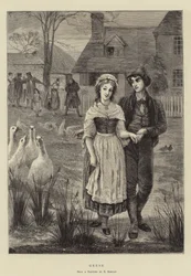 Gänse